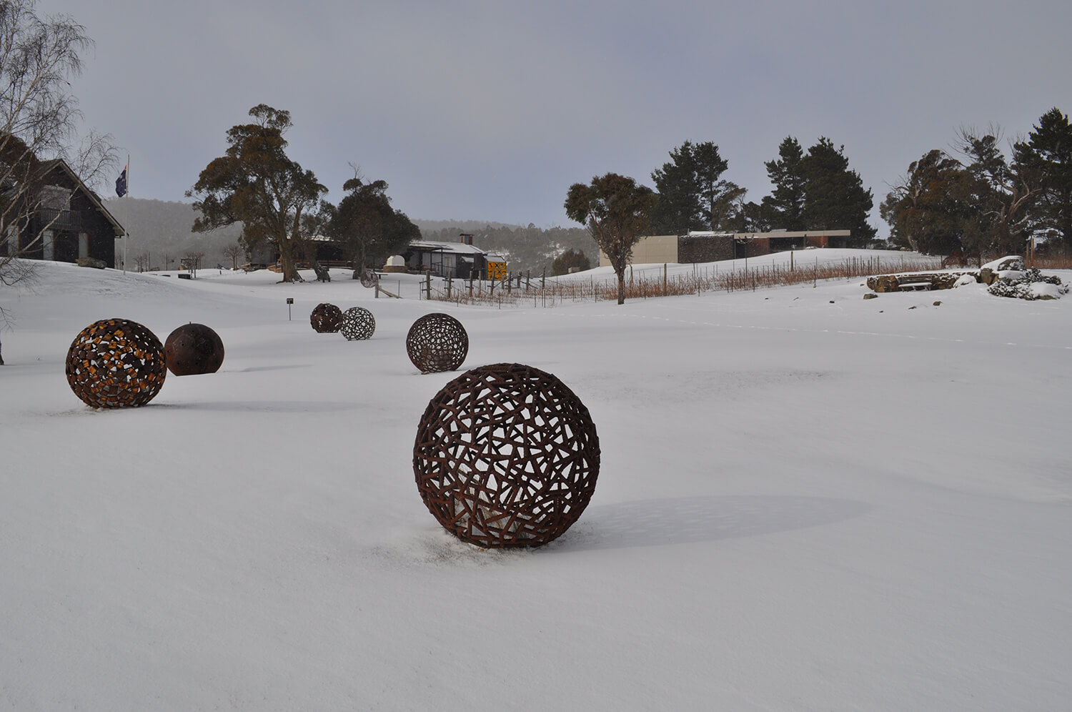 Snowy Mountains Lunch Flights